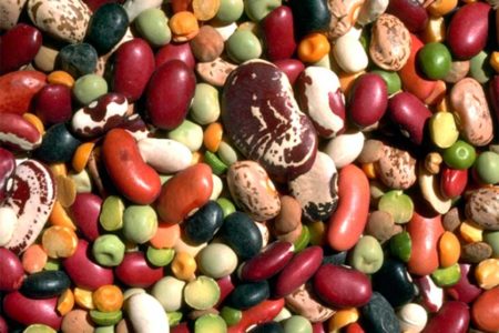 La dieta proteico-amminoacida non intacca la massa magra