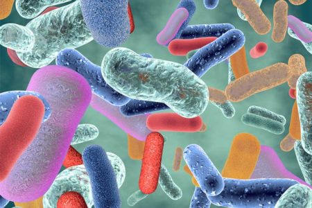L’importanza del Microbiota cutaneo