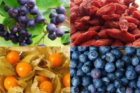 In autunno curati con le bacche