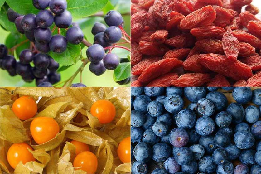 In autunno curati con le bacche